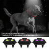 Dog Training Collar, IPX7 Waterproof, 800m Range, Fluorescent Green