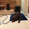 Waterproof Heated Pet Mat 60x45cm, UK Plug, 75W - Anti-Scratch