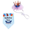Pet Birthday Crown & Scarf Set, Balloon Blue - Cat/Small Dog