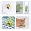 2 PCS Catnip Balls And Avocado Teasing Cat Teeth Cleaning Toy(Gall Fruit)