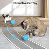 C2 Self-Rolling Cat Toy Ball, 5.5cm, Blue, USB Rechargeable, LED Light