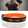Reflective Dog Collar & Lead Set, Orange, Small (2.0*35*40cm) - Breathable Polyester