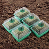 5 Set Plant Seed Starter Trays Kit,Seedling Tray Starter With Grow Light(Green)