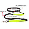 Hands-Free Dog Running Leash with Bungee, Black & Green