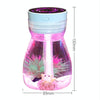 FH-068 Mini USB Car Home Colorful Light Bottle Micro Landscape Humidifier(Pink)