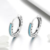 Simple Sparkle S925 Sterling Silver Earrings