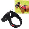 Dog Walking Chest Strap Harness XL Black - No Pull, Breathable