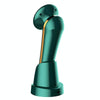 Beemyi DY-104 Facial Thermal Maggie RF Radio Frequency Imported Beauty Apparatus(Ink Green)