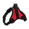 K9 Adjustable Dog Harness, XS, Rose Red - Breathable & Comfortable