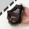 Lace Net Set Hair Net Bag Ballet Headdress, Random Color Delivery