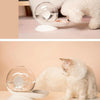 Pet Water Fountain, 2.8L Automatic Cat & Small Dog Drinker, Grey