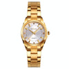 SKmei 1620 Delicate Rhinestone Creative Casual Waterproof Quartz Women Watch Steel Strap Watch(Gold)