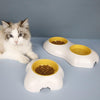 Non-Slip Double Pet Bowl | Cat & Dog Food & Water Bowl