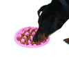 Slow Feed Dog & Cat Bowl, Silicone, Green, 30.5x22.5cm