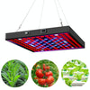 LED Plant Light Quantum Board Greenhouse Seedling Plant Growth Supplementary Light Full Spectrum Plant Planting Light, Power: 169 Beads US Plug