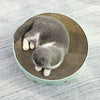 Green Round Cat Scratcher Bed - Small 32cm - Kitten & Cat