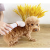 Pet Hair Dryer Comb 2-in-1 Electric Grooming US Plug Green