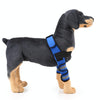 Pet Dog Leg Knee Guard Surgery Injury Protective Cover, Size: M(Anti-glory Model (Blue))