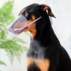 Dog Muzzle, Transparent & Breathable, Size M