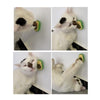 2 PCS Catnip Balls And Avocado Teasing Cat Teeth Cleaning Toy(Mint Ball)