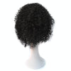 T191006 European and American Wig Headgear with Short and Small Curly Hair for Women (Black)