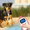 PaiPaitek PD523 Dog Training Collar - 1000m Waterproof Rechargeable Remote