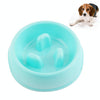 Slow Feeder Dog & Cat Bowl - Anti-Choking, Large (Random Colour)