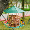 Hanging Wild Bird Feeder, Weatherproof & Collapsible (Green)