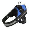 No-Pull Dog Harness, Blue, XL (28-40kg) - K9 Chest Strap & Lead