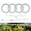 LED Plant Growth Lamp Full Spectroscopy Intelligent Timing Indoor Fill Light Ring Plant Lamp, Power: Four Head(Sunshine)