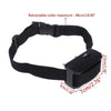 PetSafe Automatic Bark Control Collar - Black