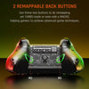 BIGBIGWON C1 Lite  RGB Light Wired Gamepad Controller For PC/Switch