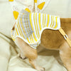 Dog Harassment Physiological Pants Pet Adjustable Bib, Size: M(Yellow White)