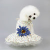 Dog & Cat Daisy Skirt, Blue, XL - Breathable Summer Pet Clothes