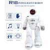 JJR/C R18 Gesture Sensing Remote Control Robot(Silver)