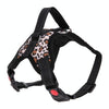 Leopard Dog Harness, Small, Breathable, No-Pull, Chest Strap
