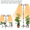 LED Growth Lamp Full-Spectrum Floor Tripod Plant Lamp Indoor Breeding Folding Filling Light, Specification: Three Head EU Plug