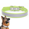 Reflective PU Leather Dog Collar XL Light Green - CL181K