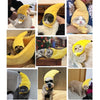 Funny Banana Cat Hat - Adjustable, Soft & Comfy