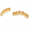 Halloween Accessories Micro-Inlaid Zircon Hip-Hop Braces, Colour: Gold Upper Teeth