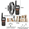 PaiPaitek PD529 Dog Training Collar - 1000m Range, Orange