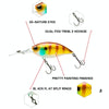 CB033/B 2pcs Inner Laser Deep Dive Sea Fishing Rock Fat Fake Bait Plastic Stiff Bait