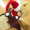 Christmas Lizard Outfit with Lead - Red Hat & Scarf