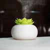 Lotus Ceramic Nano Spray Hydrating Aroma Humidifier Air Purifier(Green Flower + White Body Ceramic)