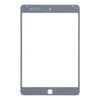 iPad Mini 4 White Front Glass Lens with OCA Adhesive