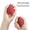 Gourd Water-drop Sponge Makeup Egg Soft Cosmetic Puffs Set  (Lafite Mat)