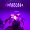 E27 20W 60 LEDs Plant Growth LED Bulb