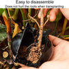 2pcs Plants Growth High Pressure Box Spherical Root Controller Grafting Root Cases, Model: M Green 80mm