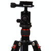 Triopo MT-2504C Adjustable Portable Aluminum Tripod (Gold) with NB-1S Ball Head (Black) for Canon Nikon Sony DSLR Camera