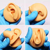 Simulation Facial Features Silicone Model Practice Display Props, Style:Nose(Flesh Color)